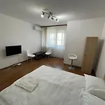 Bega Circumvalatiunii 1 Room Apartment - 3