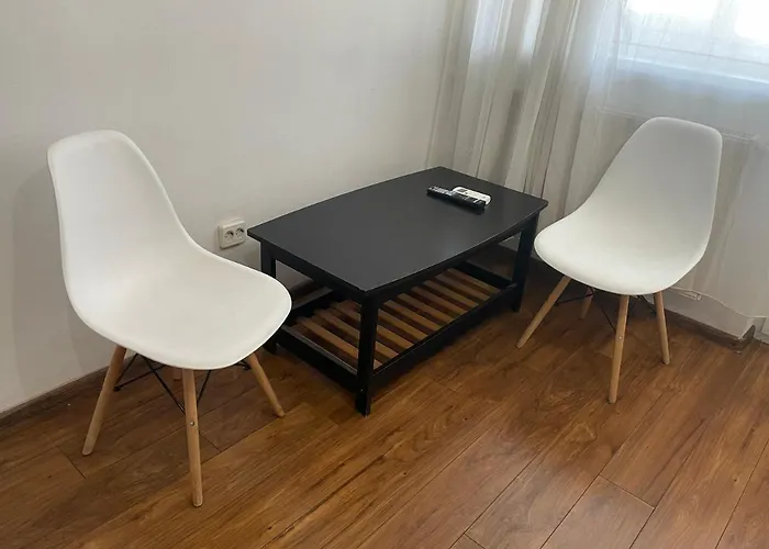 Bega Circumvalatiunii 1 Room Apartment - 3